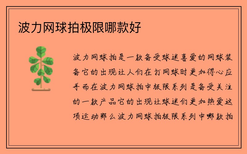 波力网球拍极限哪款好