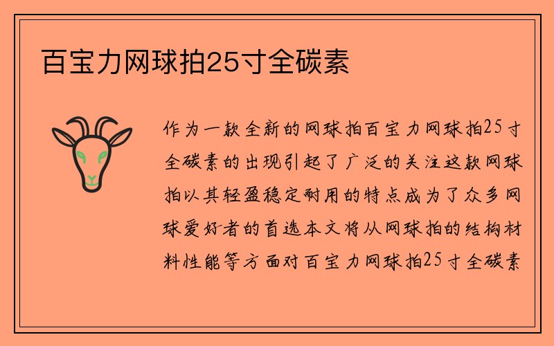 百宝力网球拍25寸全碳素