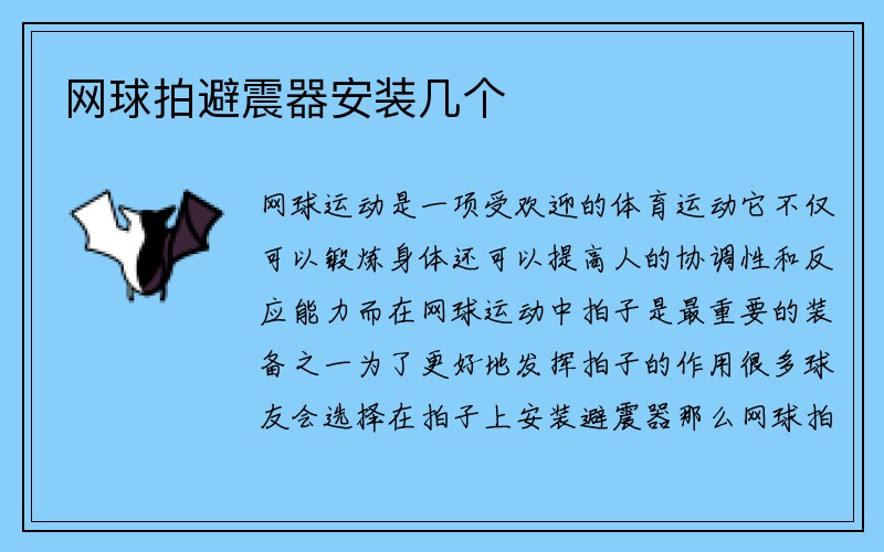 网球拍避震器安装几个